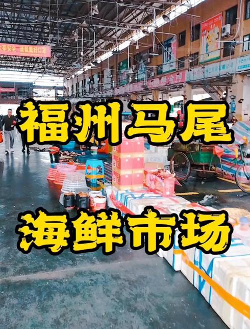 外贸代理公司的新趋势解读